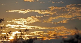Golden clouds at sunrise
