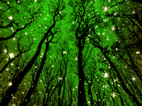 Zöld csillogó fa