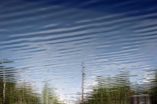 Отражение зеленых деревьев в воде