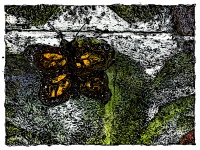 Grunge Butterfly Painting