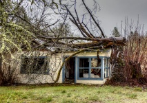 Home Crushed By Fallen Tree