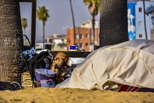 Hajléktalanság a strandon