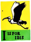 I is For Ibis ABC 1923