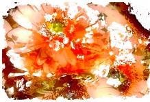 Marile flori portocalii Art