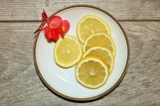 Zitronenscheiben auf Platte