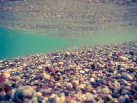 水中の小石