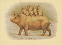 Familia de porc