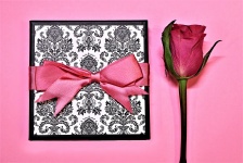Pink Rose and Gift Box on Pink