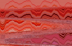 Pinky Red Waves Texture