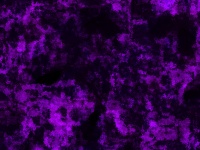 Fond de texture violet et noir