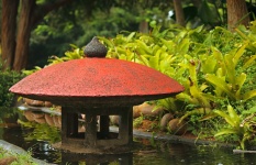 Red Japanese Feature In A Garden