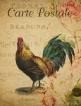 Carte postale florale vintage de coq