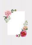 Karta kwiatowy zaproszenie róże