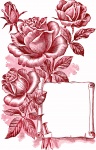 Růže Vintage ilustrace