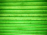 Textura Linear Verde Riscada