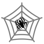 Spider and spider net