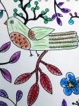Spring Bird Illustration