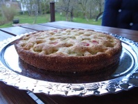 Spring Rhubarb Pie
