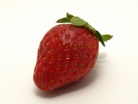 Erdbeere