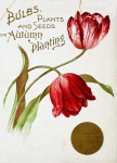 Poster da semente do vintage das tulipas
