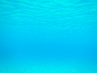 Unterwasser Meer Hintergrund
