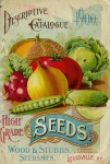 Legumes Vintage Ilustração