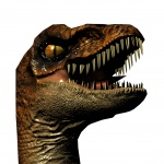 Velociraptor hlavu