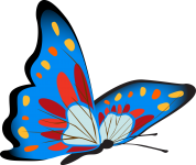 Яркая голубая бабочка