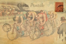 Vintage Fahrradrennen Postkarte