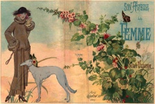 Copertina di libro francese vintage donn