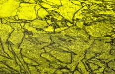 Gelber abstrakter Hintergrund