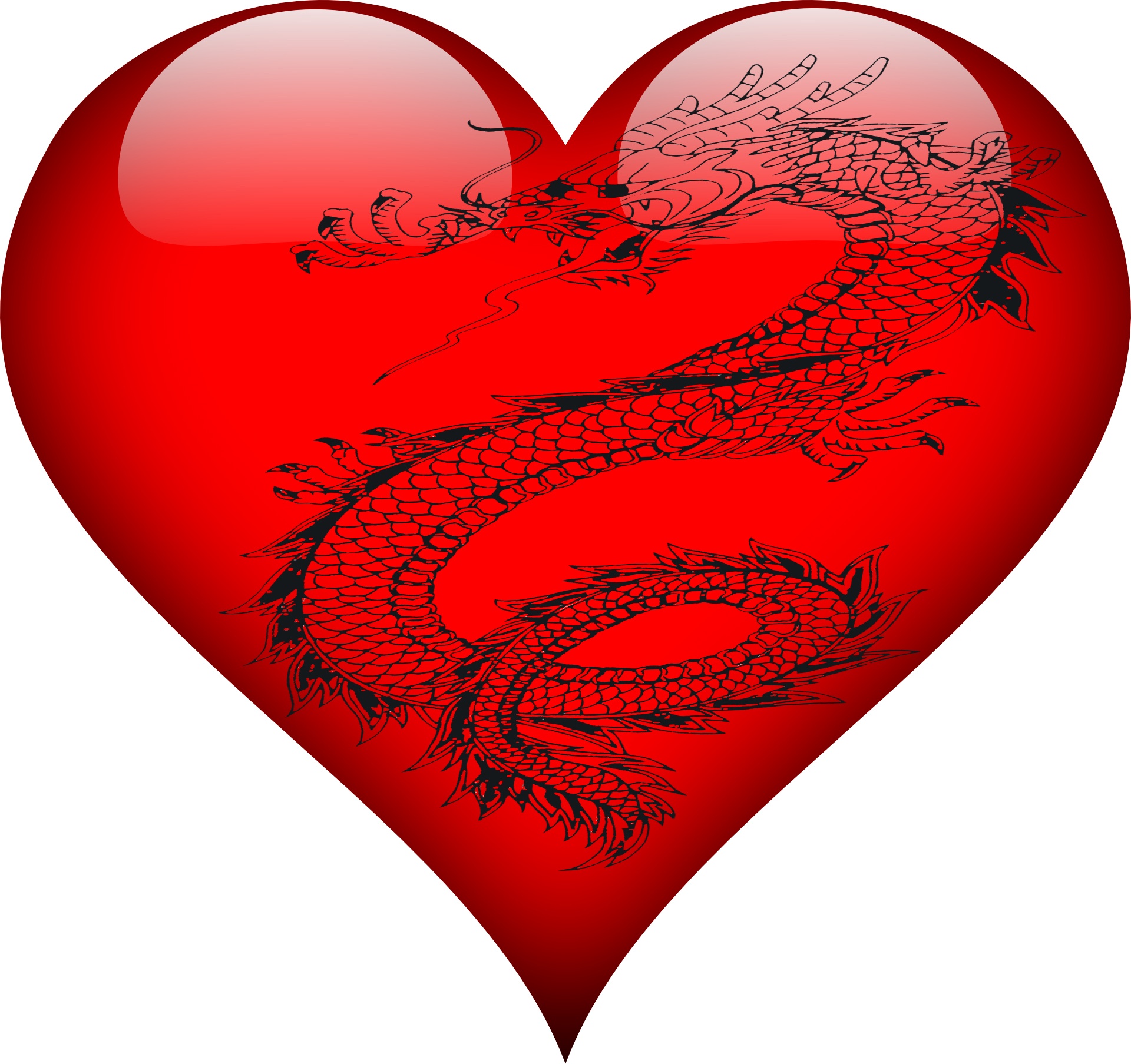heart-of-a-dragon-2-free-stock-photo-public-domain-pictures