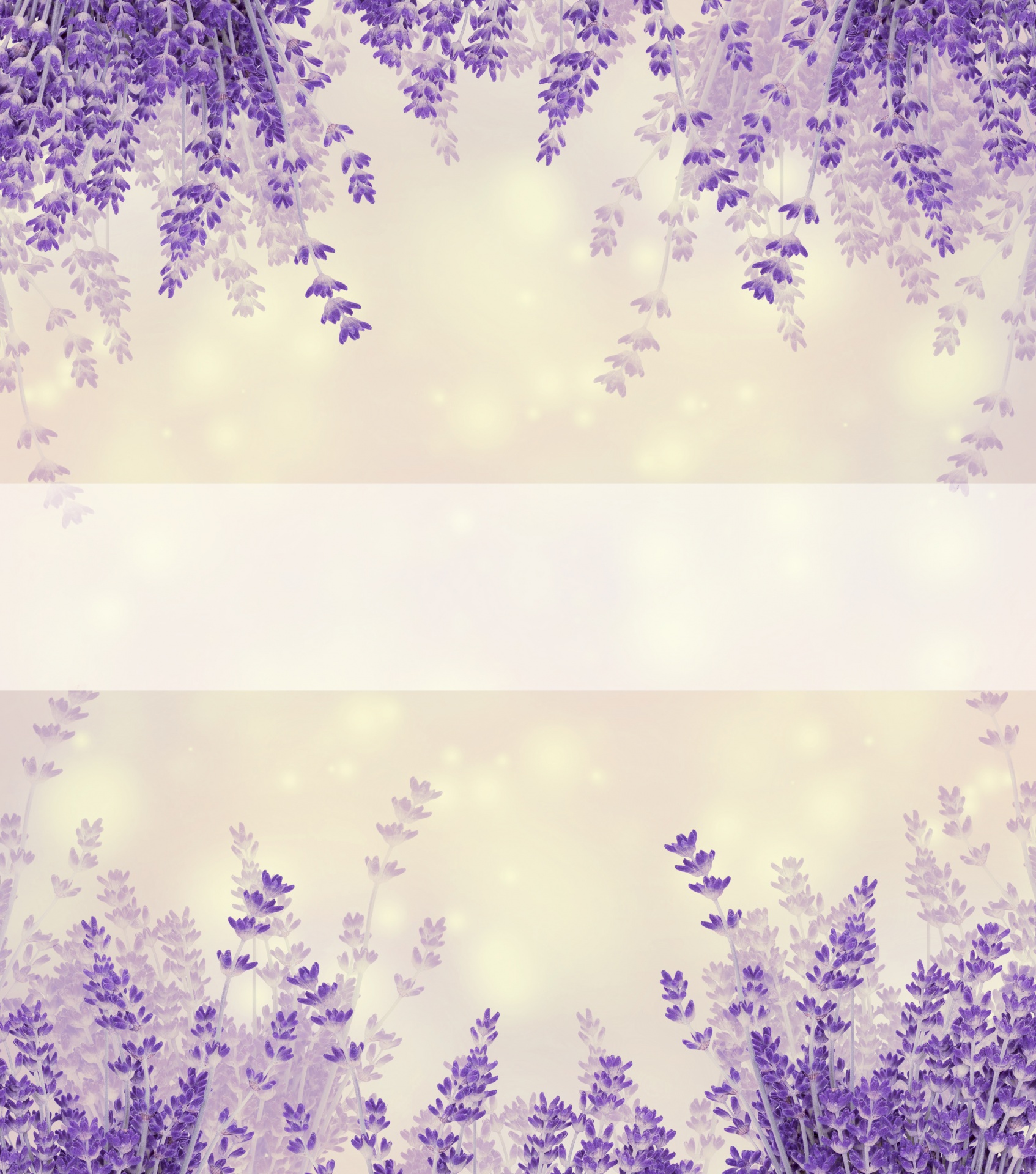 presentation background lavender
