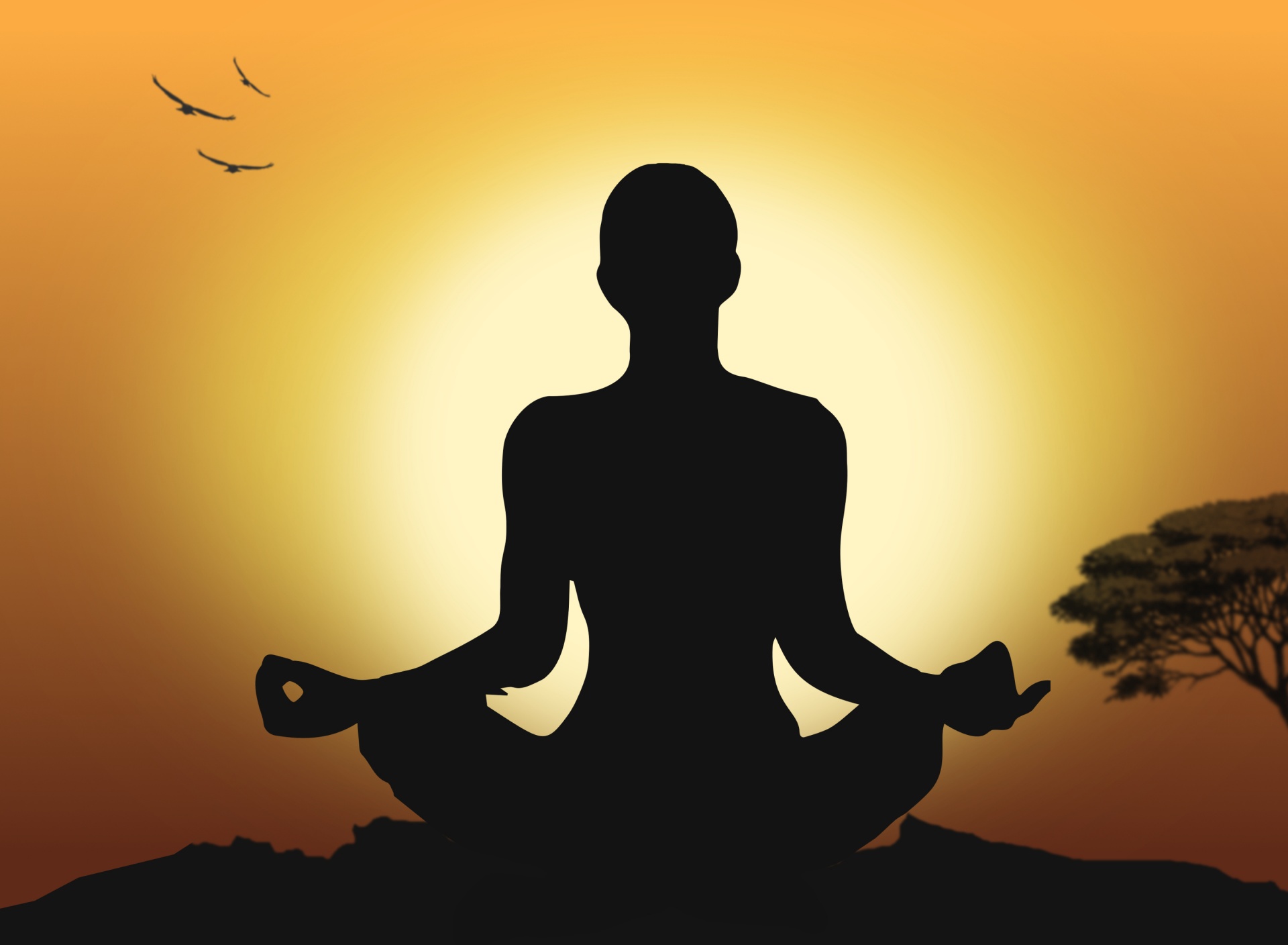 The Impact of Meditation on Academic Performance: A Comprehensive Analysis