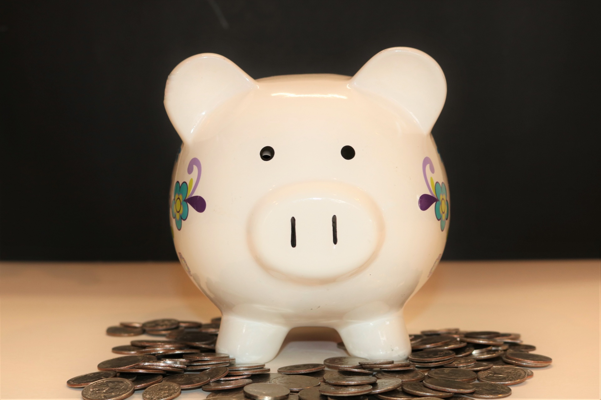 Piggy Bank And Coins Free Stock Photo Public Domain Pictures