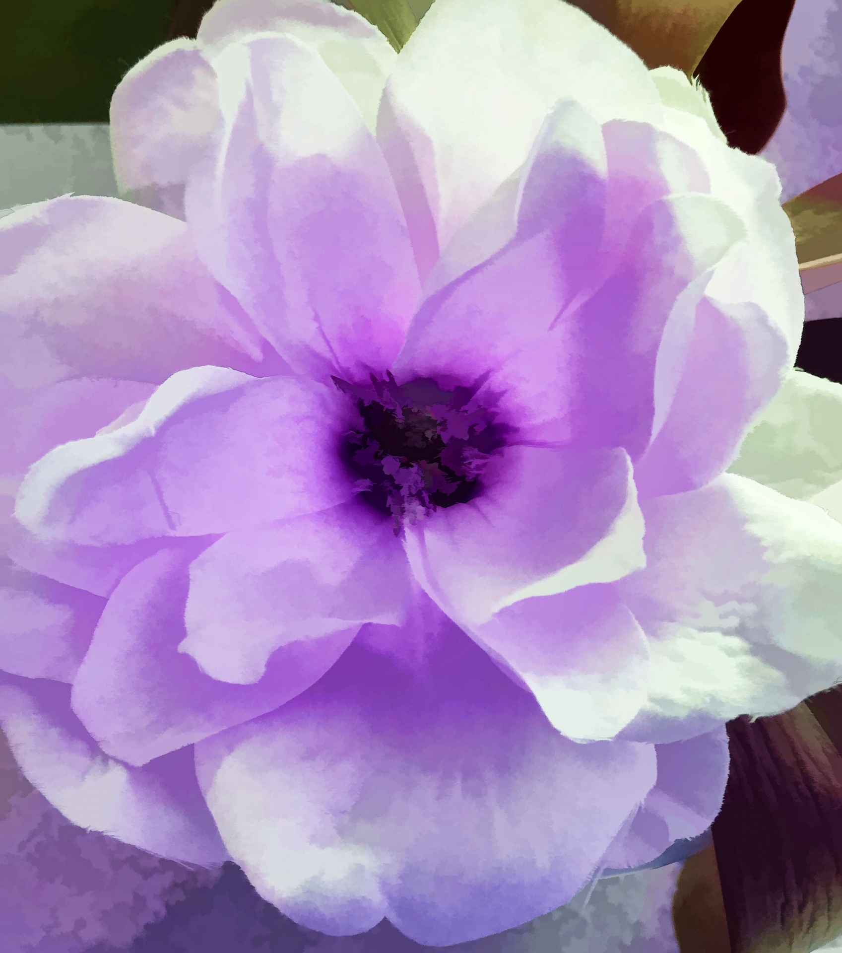 Purple Tinted Flower Free Stock Photo - Public Domain Pictures