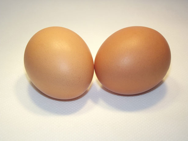 2 uova in guscio Immagine gratis - Public Domain Pictures