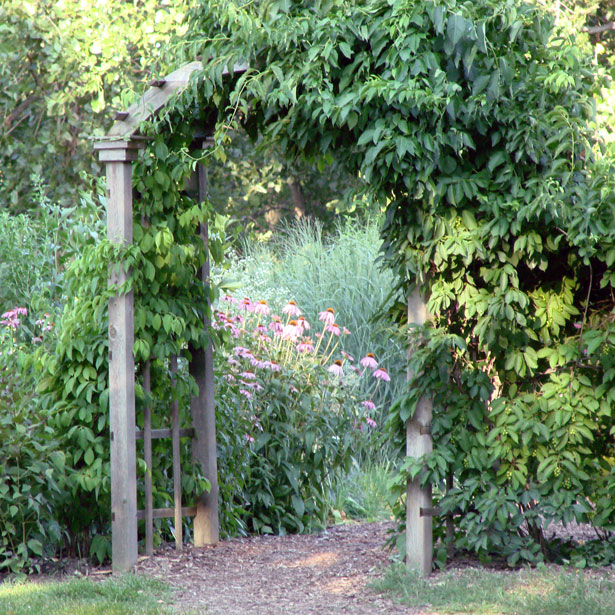 秘密の花園 無料画像 Public Domain Pictures