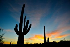 Arizona Sonnenaufgang