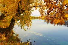 Herfst oever van de rivier
