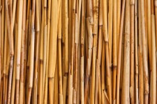 Bambusu textury