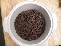 Tál Chocolate Chips