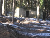 Bunker In The Woods