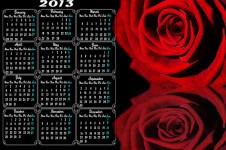 Calendar 2013 And Rose