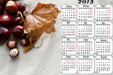 Calendaristic 2013 - castane