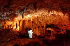 Cave en Barbados
