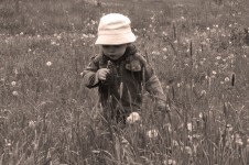 Enfant dans la prairie