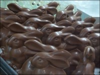 Les lapins de chocolat