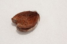 Kokosnuss Haut