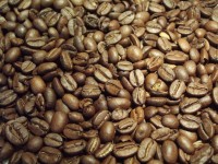 コー​​ヒー豆
